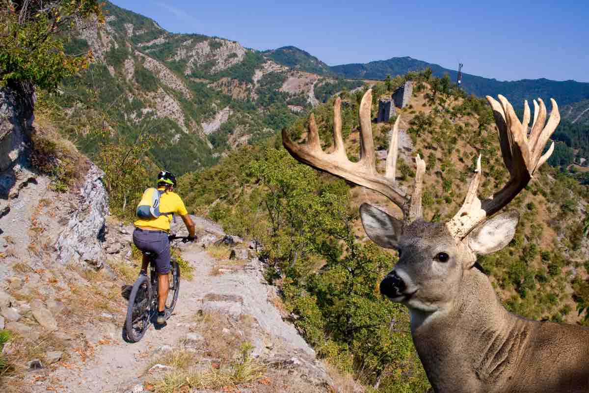 Escursione in bici