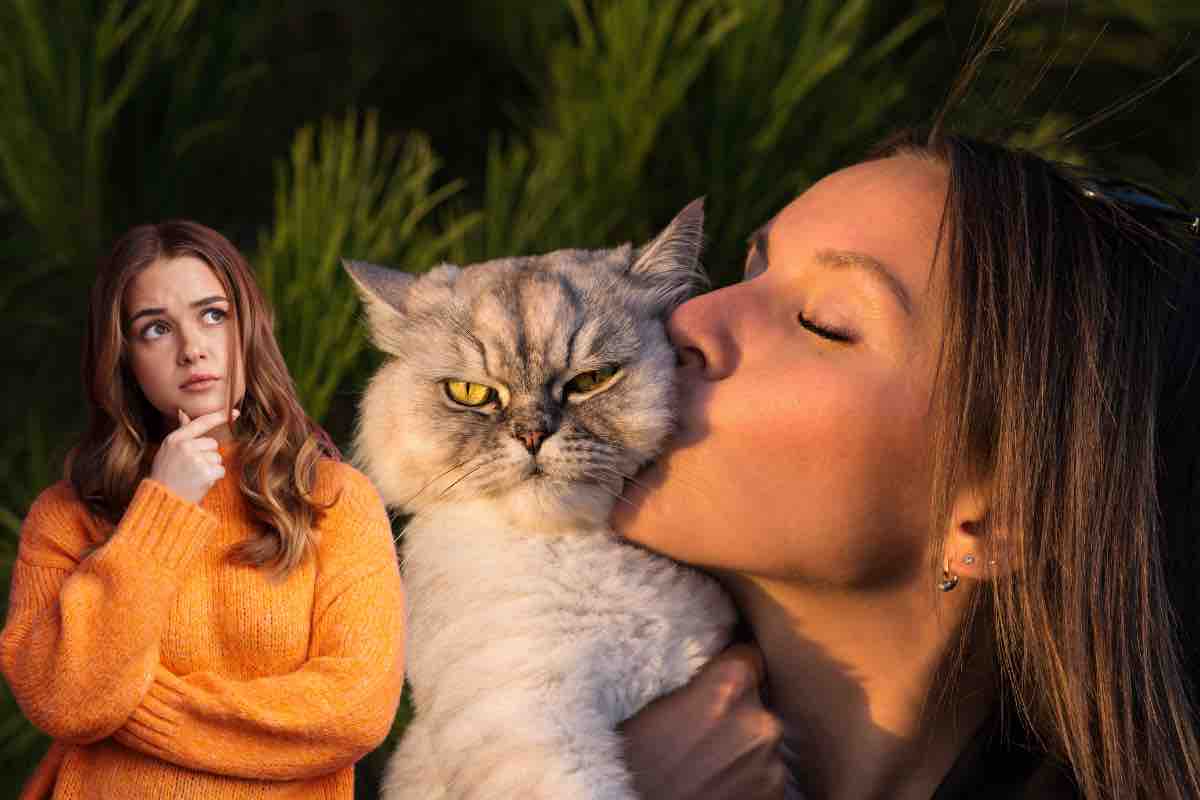 I segnali del gatto